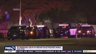 16-year-old killed in San Jose stabbing