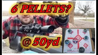 Air Venturi Avenger 22 Pellet Testing @50yd