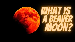 What Is A Beaver Moon?