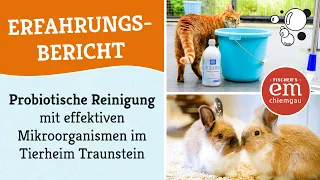 7 (gute) Gründe im Tierheim mit EM zu reinigen - Erfahrung Effektive Mikroorganismen Reinigung