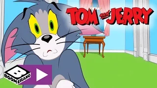 Tom & Jerry | Evil Pet Sitter | Boomerang UK