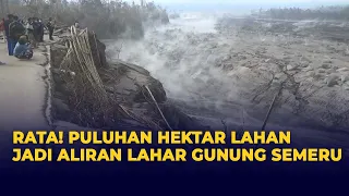 Rata! Puluhan Hektar Lahan Pertanian Warga Disapu Aliran Lahar Erupsi Gunung Semeru