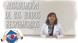 Auscultación de Ruidos Respiratorios - Medical League