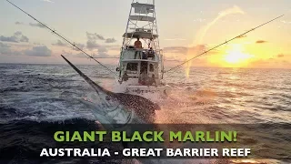 FISHING FOR GIANT BLACK MARLIN IN AUSTRALIA AND FILMING IT WITH A DRONE