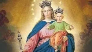 🐑7 День Дев'ятниці до Діви Марії Помічниці Християн💕(складенна Св.Йоаном Боско)🌼☀️✨️😊🫒🕊🌿🌸💕💗🌺☀️🍇💦🐑🌺