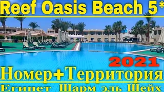 Reef Oasis Beach 5*-Стоит ли ехать? Обзор номера отеля и территории- Отель в Египте Шарм Эль шейх