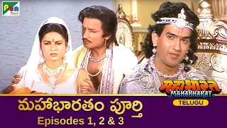 Mahabharat Full Episode in Telugu | మహాభారత | B R Chopra Mahabharat | EP 1, 2 & 3