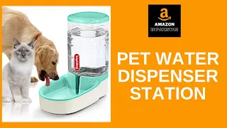 Cat Feeder Pet Water Dispenser Station Amazon In Pakistan