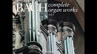 J. S. Bach - Complete Organ Works played on Silbermann Organs - CD 01/19