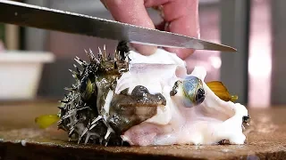 Japanese Street Food - PUFFERFISH Puffer Fish Okinawa Seafood Japan