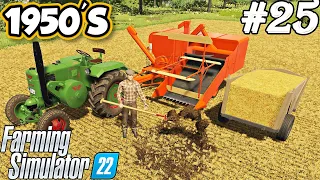 1950'S. Wheat harvest. Spreading manure with forks. Collecting straw. Selendra. FS 22. Ep 25