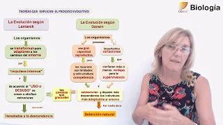 59.Biología.Teorías evolutivas: Lamarck y Darwin