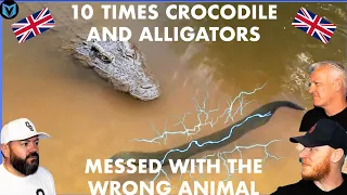 10 Times Crocodile and Alligator Messed with the Wrong Animals REACTION!! | OFFICE BLOKES REACT!!