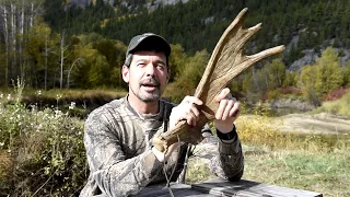 How to call a moose, hunting guides techniques and tutorial