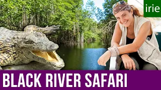 Black River Safari. Wetlands. Jamaica Video Guide.