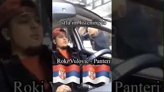 stfu im listening to Roki Vulovic - Panteri