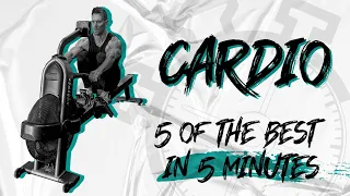 WHICH CARDIO BURNS THE MOST FAT - STEADY STATE (LISS) OR HIGH INTENSITY INTERVALS (HIIT) ROB RICHES