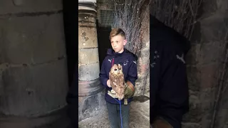 Kid freaks when owls head turns around