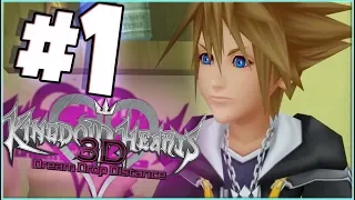 Kingdom Hearts: Dream Drop Distance HD Episode 1 Town of Dreams?