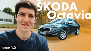 Skoda Octavia IV Combi | 2020 First Edition 2.0 TDI (150 PS) | Test, Review, Infos | Dominik Fisch