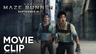 The Maze Runner | "Runners" Clip [HD] | 20th Century FOX