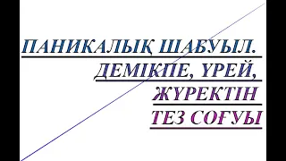 Паникалық шабуыл. Оның себебі және құтылу амалдары. Невроз қазақша