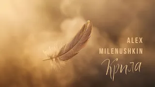 Alex Milenushkin - Крила (Lyric Video)