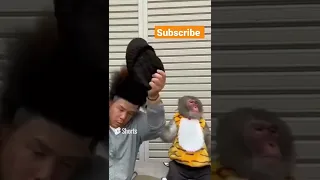 Funny Monkey Reaction 🤣 😆 😄