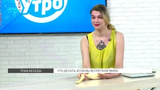 Как вести себя при встрече со змеей?