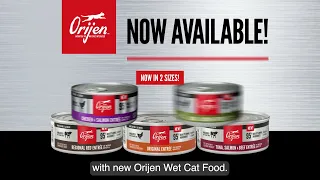 ORIJEN® Wet Cat Food with Succulent Shreds | NEW