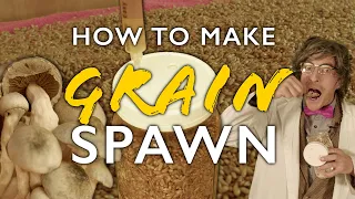 How to Make Grain Spawn: A Deep Dive into the Heart of DIY Mushroom Cultivation