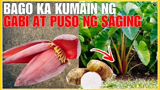 Bago Ka Kumain ng Dahon Ng Gabi at Puso ng Saging Panoorin Mo Muna Ito | BHES TV