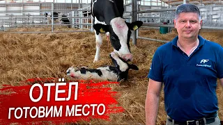 Отел коровы. Подготовка места для отела.