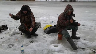 Чебак на безмотылку