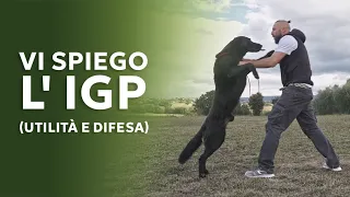 Vi spiego l'IGP (utilità e difesa)