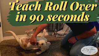 Teach my puppy to roll over // Dog Focus Training Tips