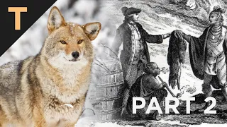 The Economics of Trapping - Past and Present | Trapped in the Past Part Two