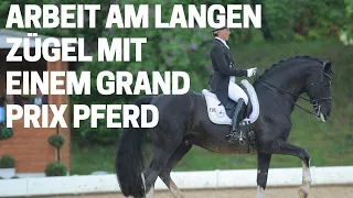 Handarbeit mit einem Grand Prix Pferd 😍  | Uta Gräf's Erfolgspferd Le Noir zeigt wie es geht