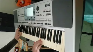 Korg Pa 50. Полька Українська