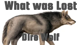 Dire Wolf - The Prehistoric Hypercarnivore with a Powerful Bite - What Was Lost Ep.9