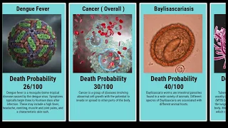 Probability Comparison: Deadliest Diseases (Black Plague vs Coronavirus)