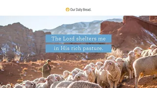 The Good Shepherd | Audio Reading | Our Daily Bread Devotional | February 7, 2023