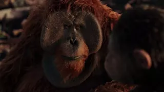 War for Planet of the Ape Ending - Caesar's Death