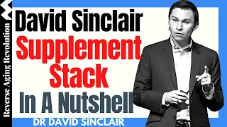 David Sinclair Supplement Stack In A Nutshell | Dr David Sinclair Interview Clips