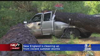 Tree crushes pickup truck in Hollis, NH