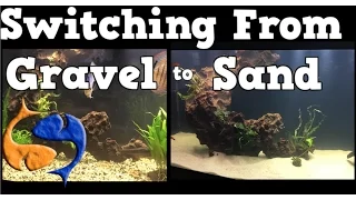 Switching Your Aquarium Substrate From Gravel To Sand! 125 Gallon Aquarium Overhaul!
