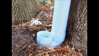 DIY water station for wildlife in your backyard
