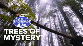 The Trees of Mystery | Bartell's Backroads