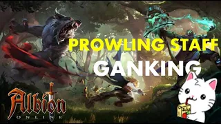 ALBION ONLINE! WILD BLOOD GANKING! 5.3 PROWLING STAFF! STREAM HIGHLIGHTS #34