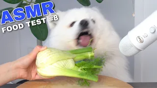 Dog Reviews Different Types of Food | Maya Monch Mission #8